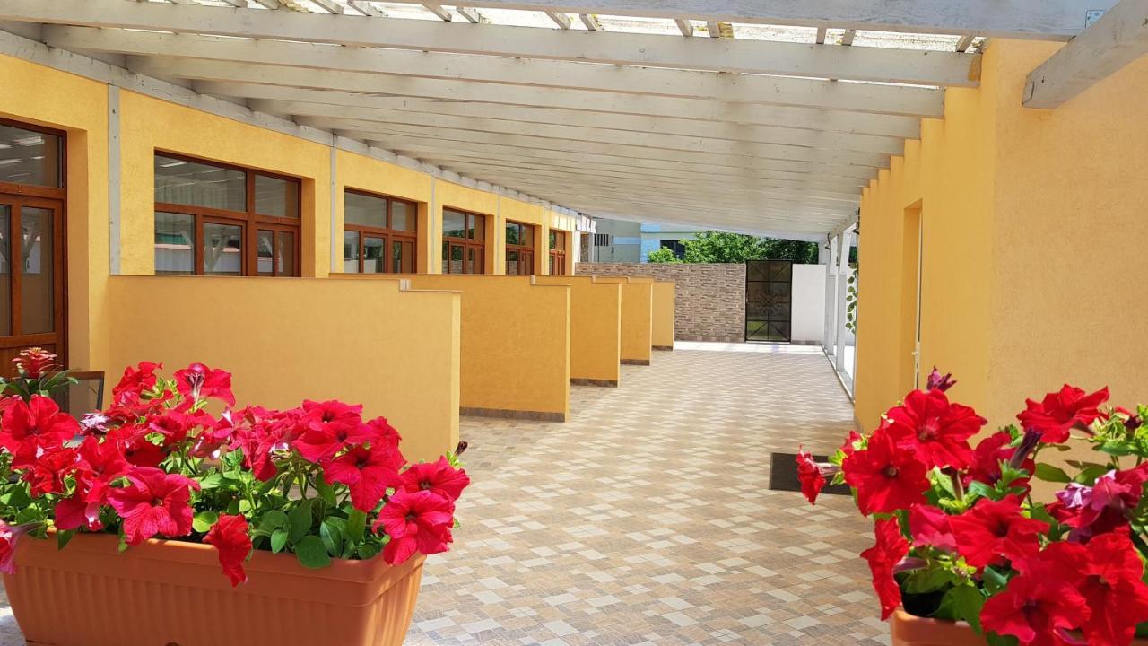 Отель Resting House Брашов Экстерьер фото